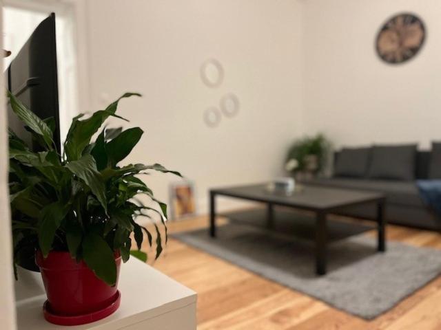 Apartament Cosy Rent-Strasbourg Gare 1-Wifi Zewnętrze zdjęcie