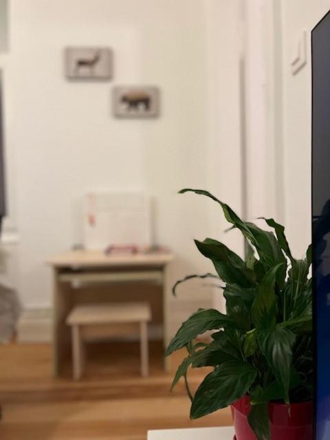 Apartament Cosy Rent-Strasbourg Gare 1-Wifi Zewnętrze zdjęcie